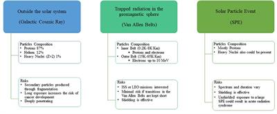 Dose-Effects Models for Space Radiobiology: An Overview on Dose-Effect Relationships